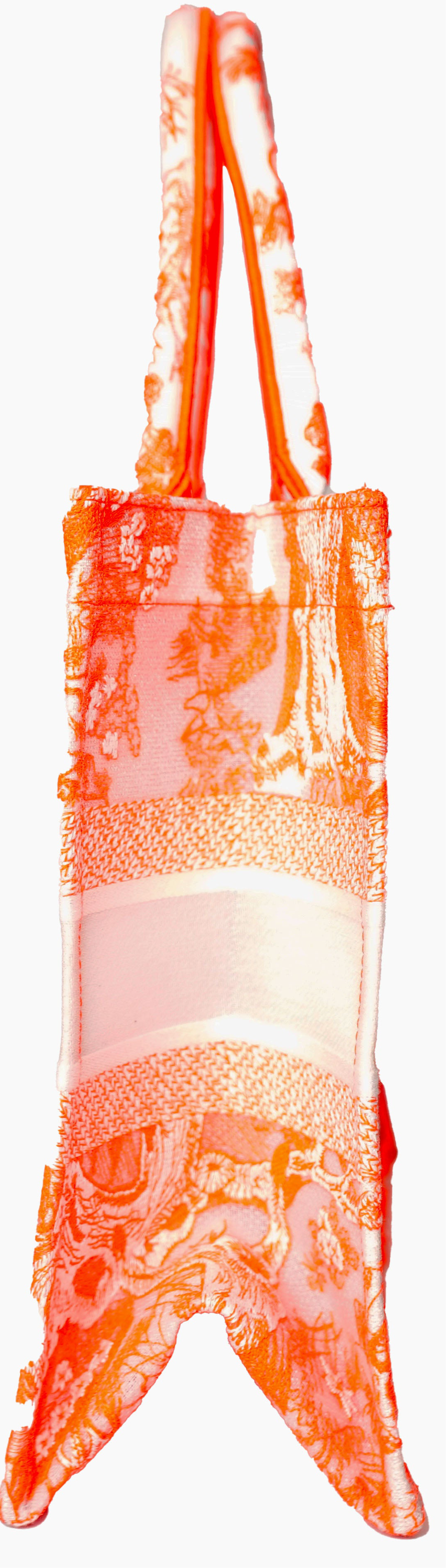 Dior - Medium Toile de Jouy Book Tote